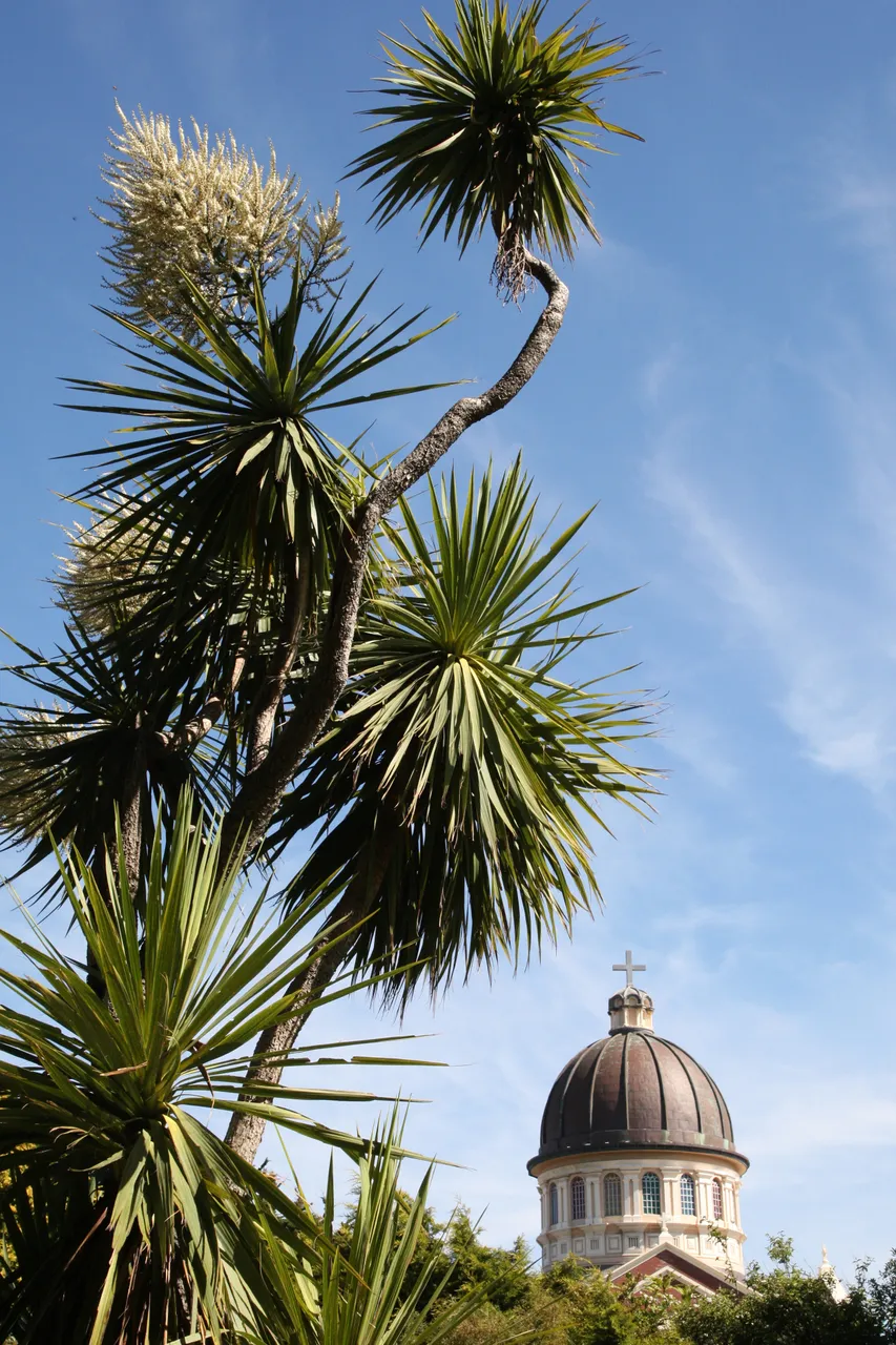 St Mary's Basilica - Southland, New Zealand - Credit Envious Photography (1)