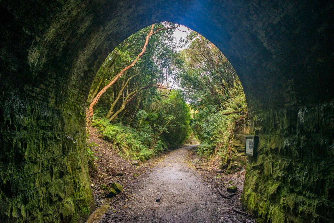 Tunnel Hill - Southland, New Zealand - Credit Sam Deuchrass (1)