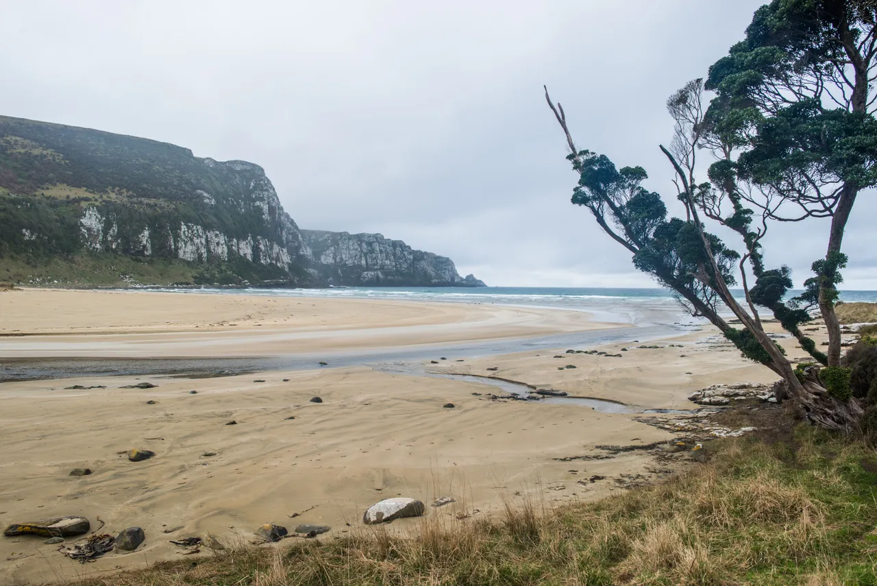 Purakaunui Bay - Southland, New Zealand - Credit Sam Deuchrass (2)