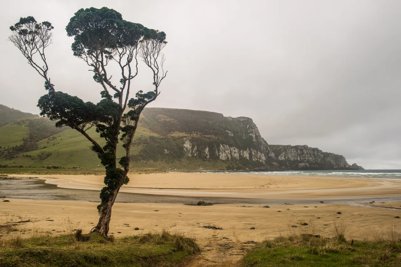 Purakaunui Bay - Southland, New Zealand - Credit Sam Deuchrass (3)
