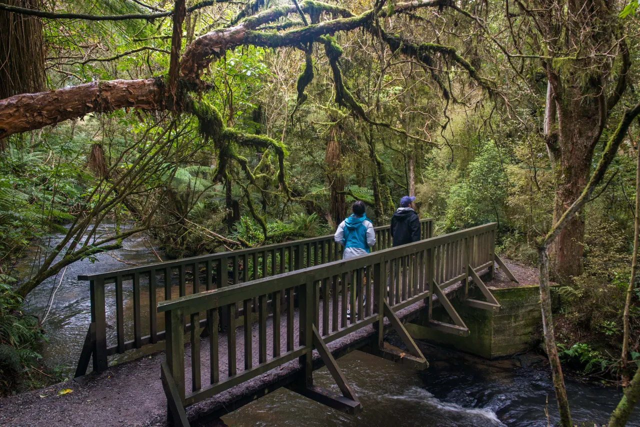 Purakaunui Falls - Southland, New Zealand - Credit Sam Deuchrass (4)