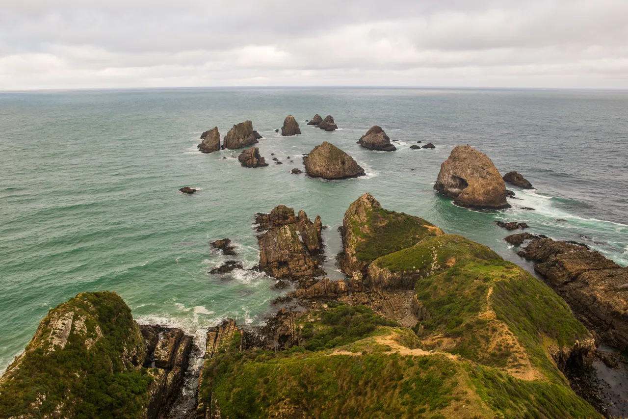 Nugget Point - Southland, New Zealand - Credit Sam Deuchrass (1)