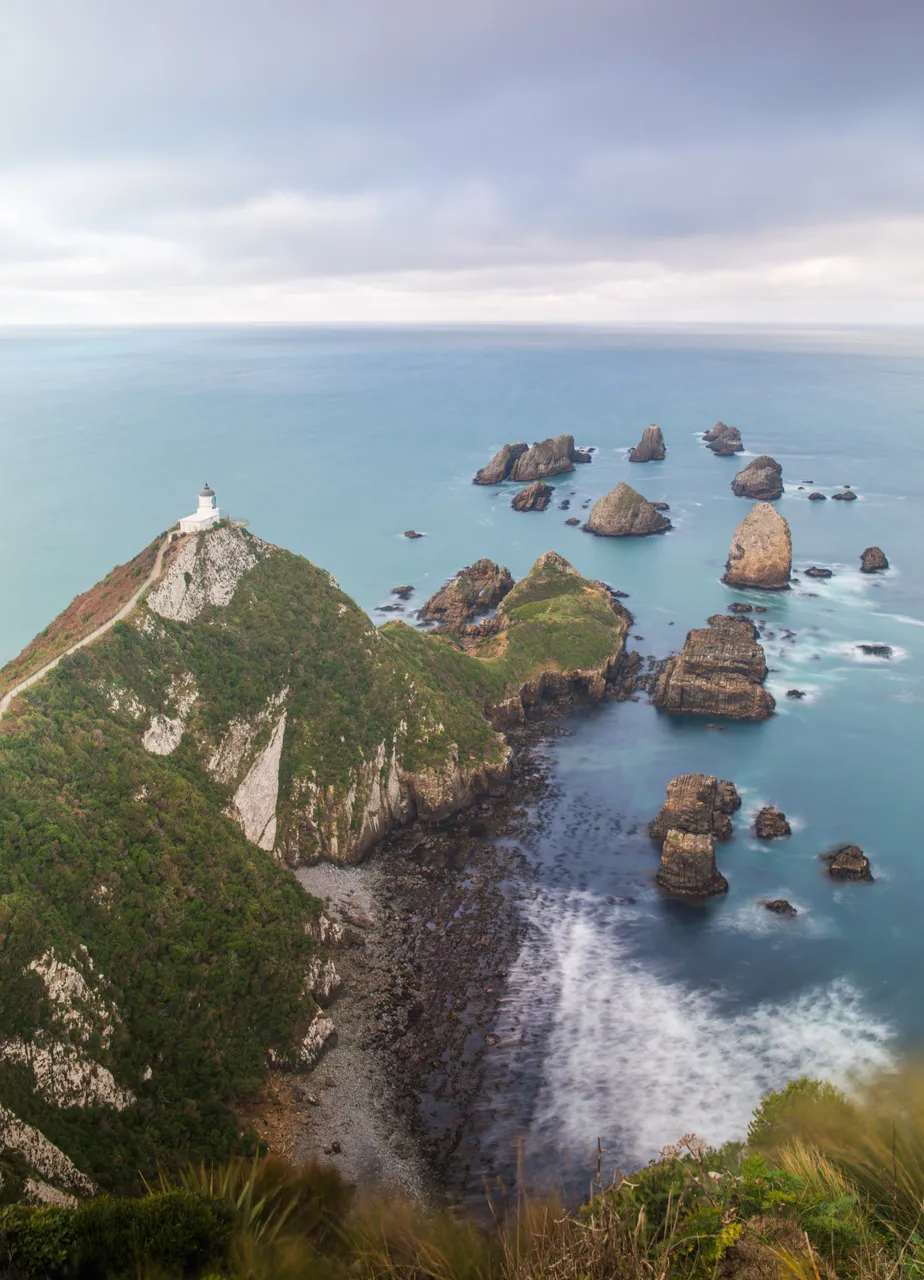 Nugget Point - Southland, New Zealand - Credit Sam Deuchrass (3)