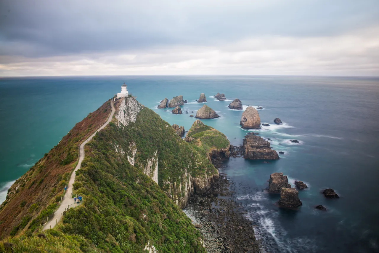Nugget Point - Southland, New Zealand - Credit Sam Deuchrass (4)