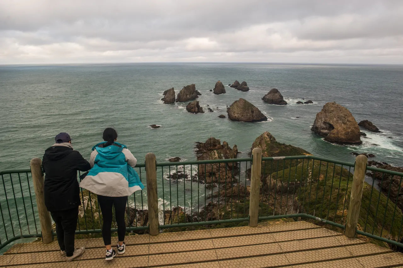 Nugget Point - Southland, New Zealand - Credit Sam Deuchrass (7)