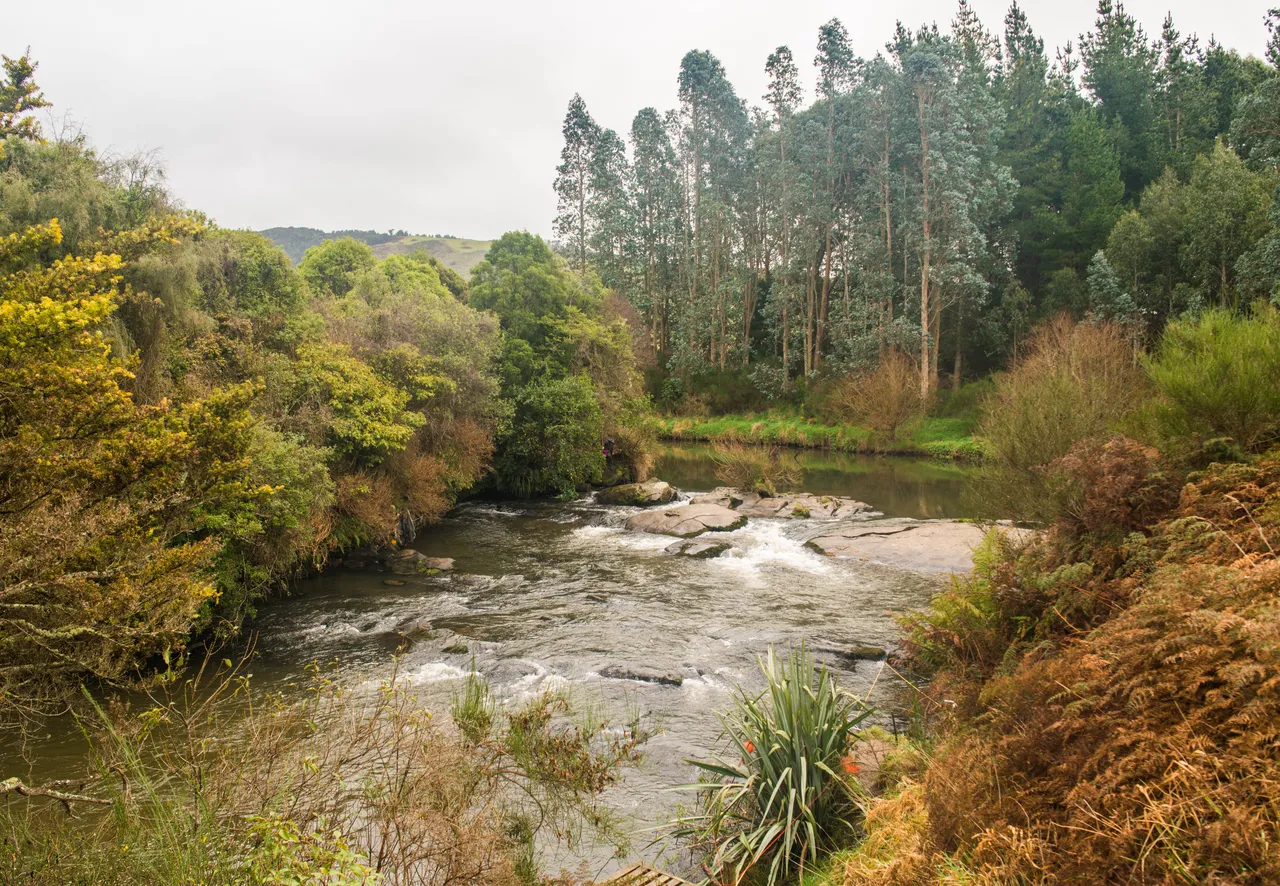 Niagara Falls - Southland, New Zealand - Credit Sam Deuchrass (2)