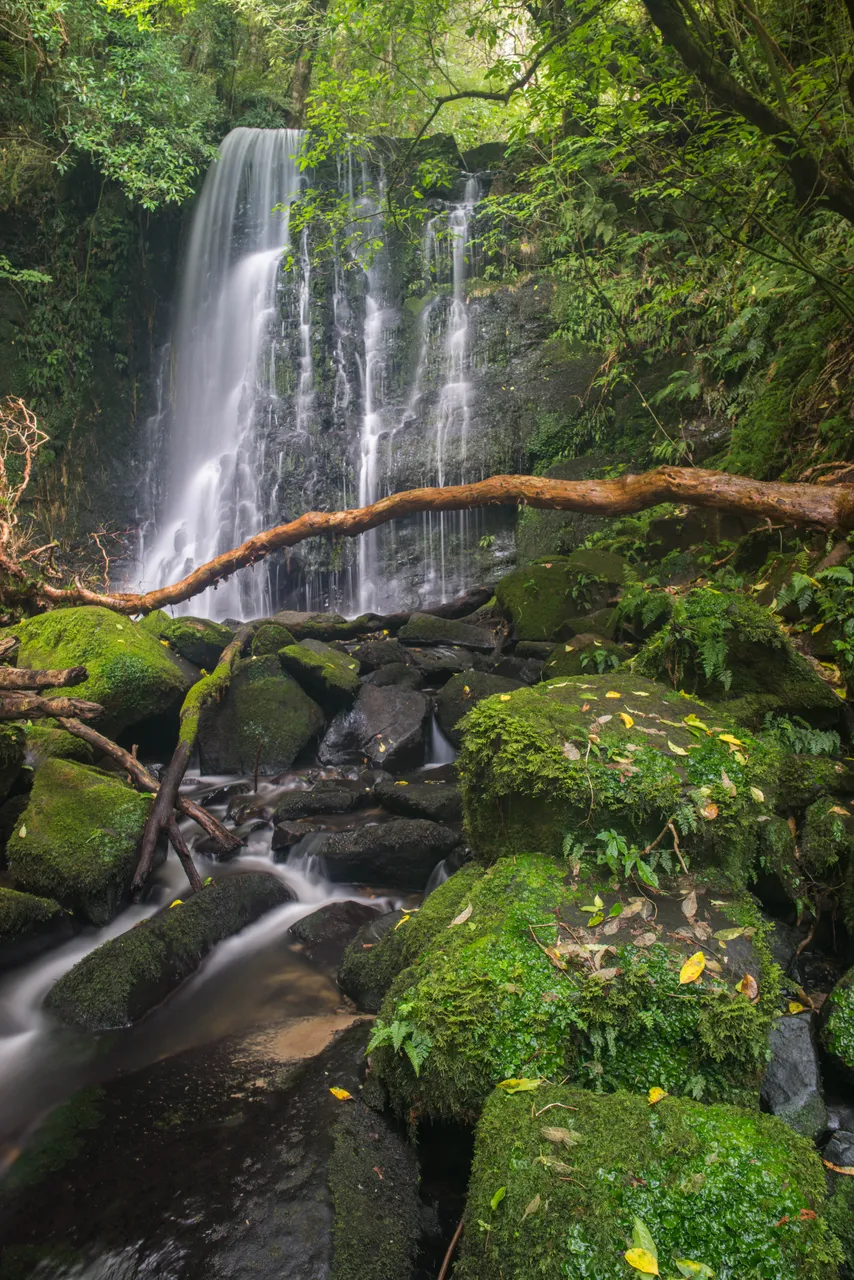 Matai Falls - Southland, New Zealand - Credit Sam Deuchrass (1)