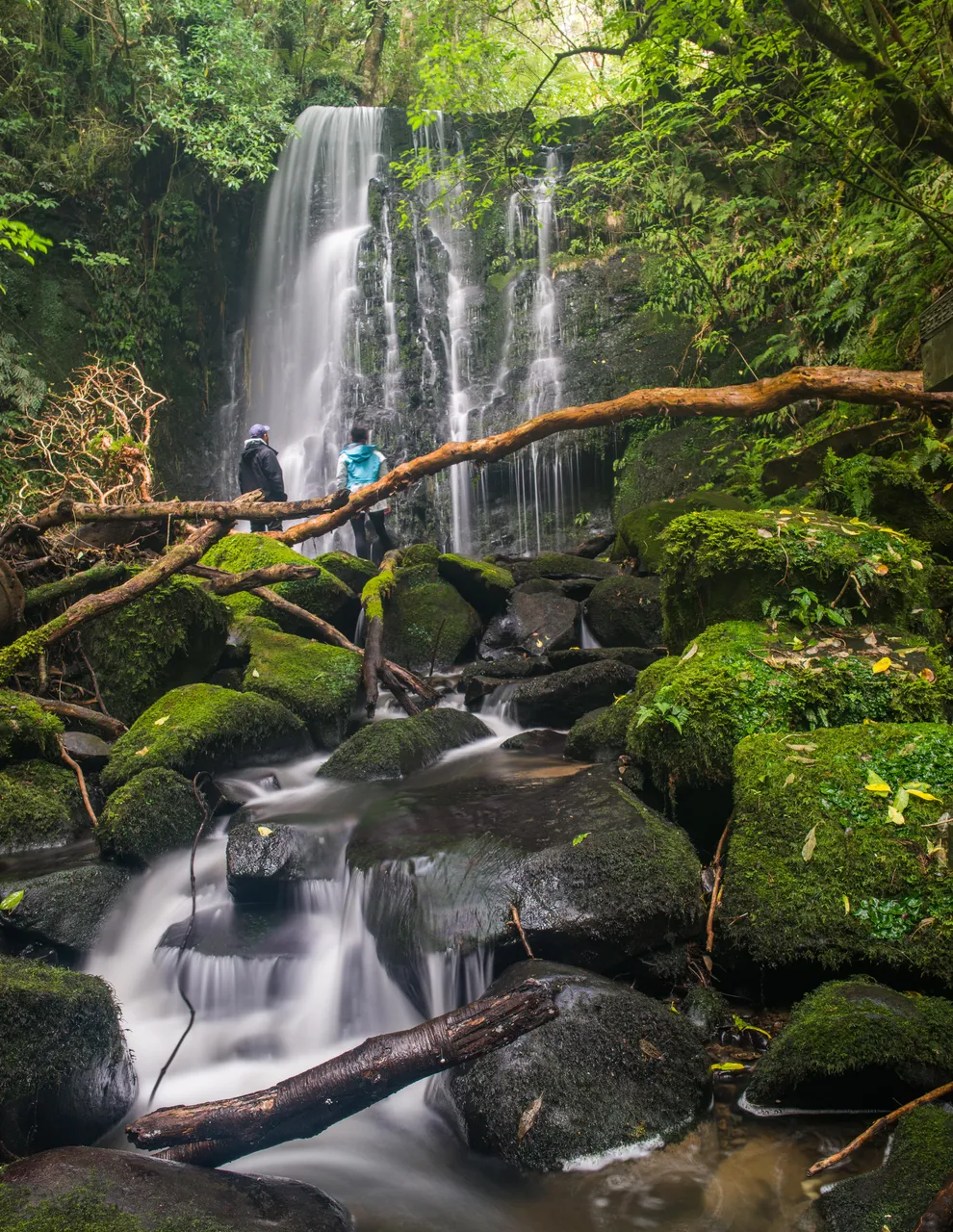 Matai Falls - Southland, New Zealand - Credit Sam Deuchrass (2)