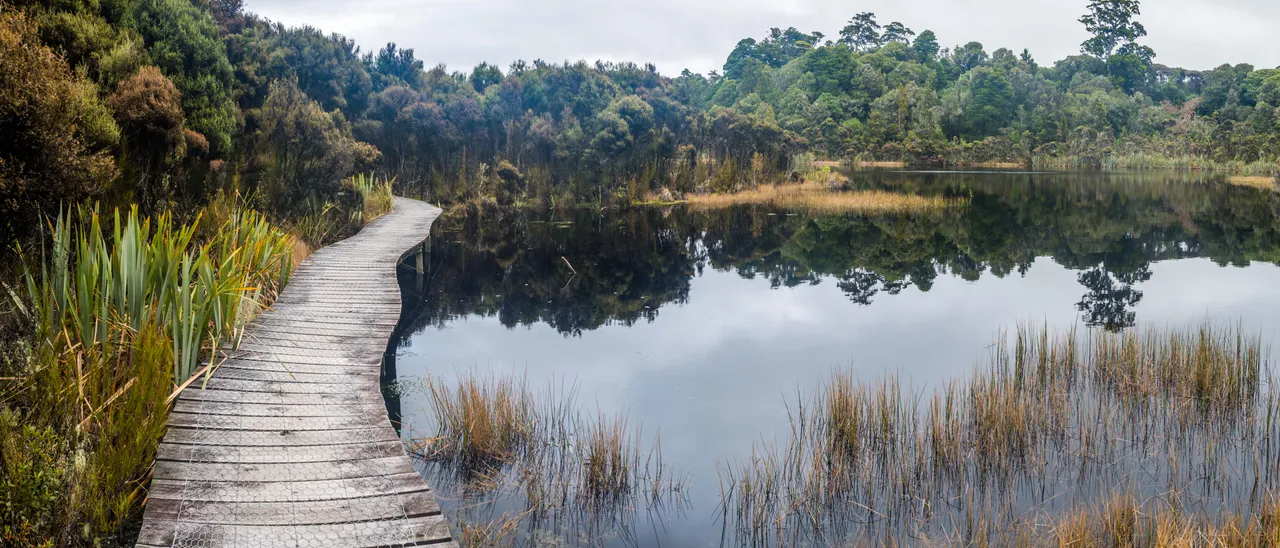 Lake Wilkie - Southland, New Zealand - Credit Sam Deuchrass (2)