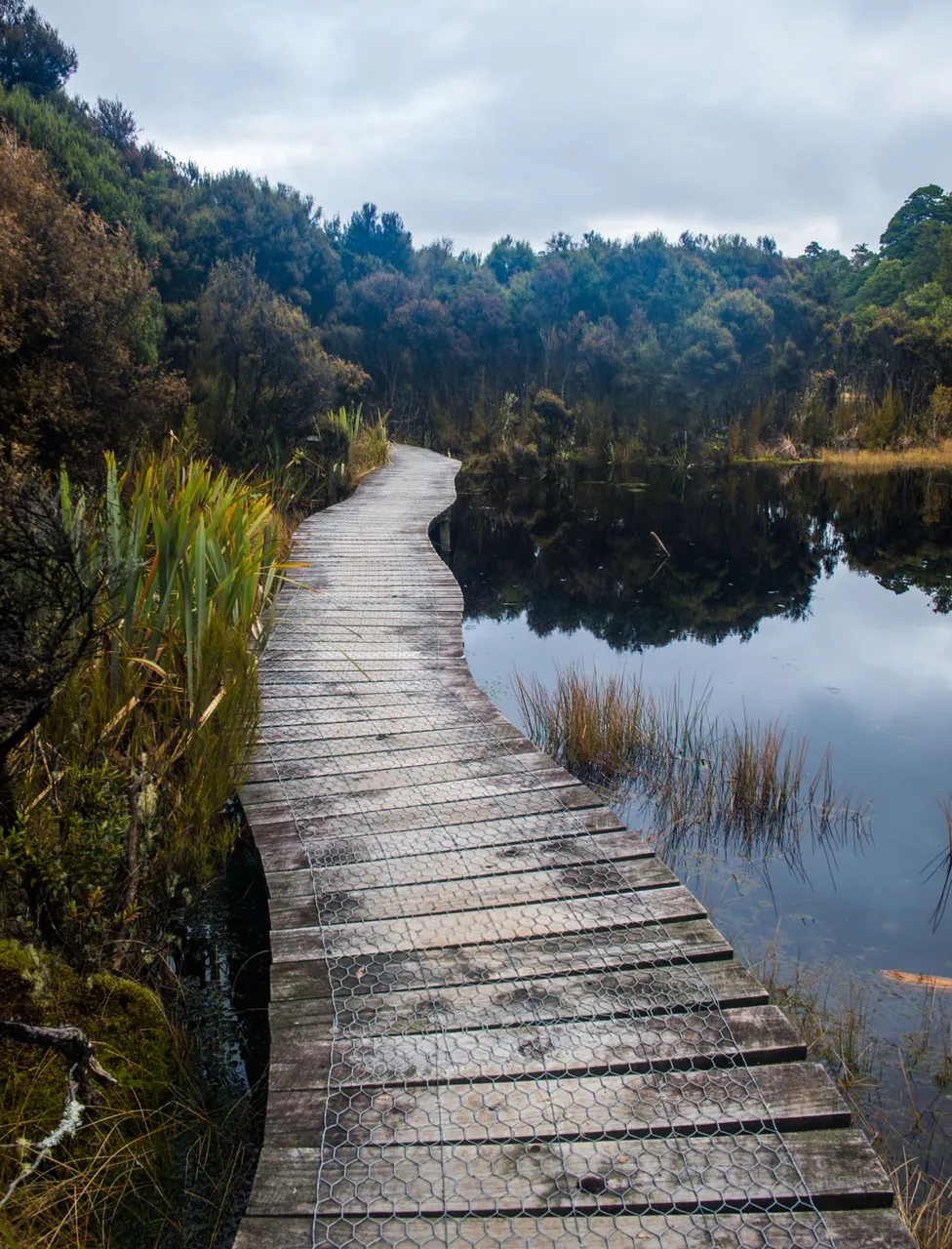 Lake Wilkie - Southland, New Zealand - Credit Sam Deuchrass (1)