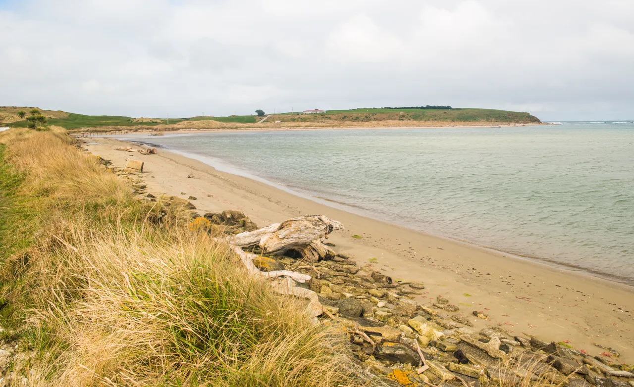 Fortrose - Southland, New Zealand - Credit Sam Deuchrass (2)