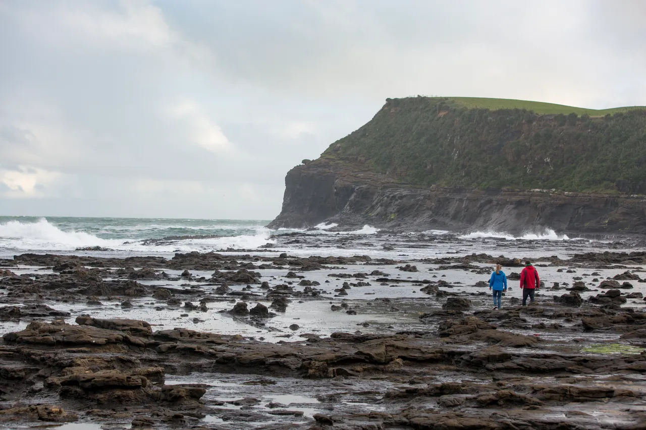 Curio Bay - Southland, New Zealand - Credit Sam Deuchrass (8)