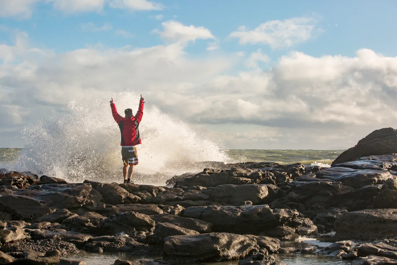Curio Bay - Southland, New Zealand - Credit Sam Deuchrass (7)