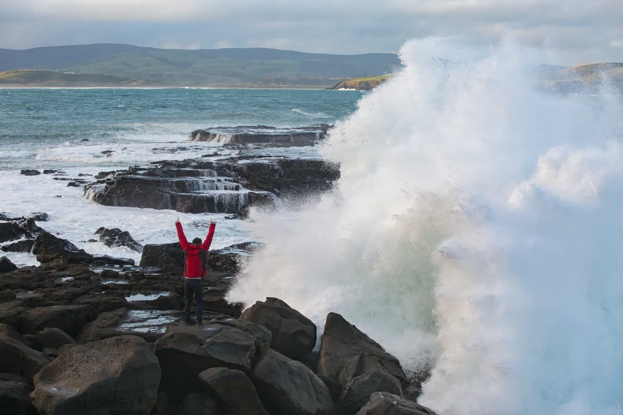 Curio Bay - Southland, New Zealand - Credit Sam Deuchrass (6)