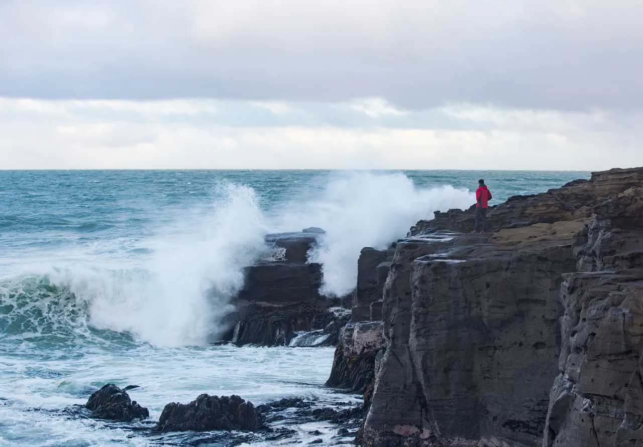 Curio Bay - Southland, New Zealand - Credit Sam Deuchrass (4)