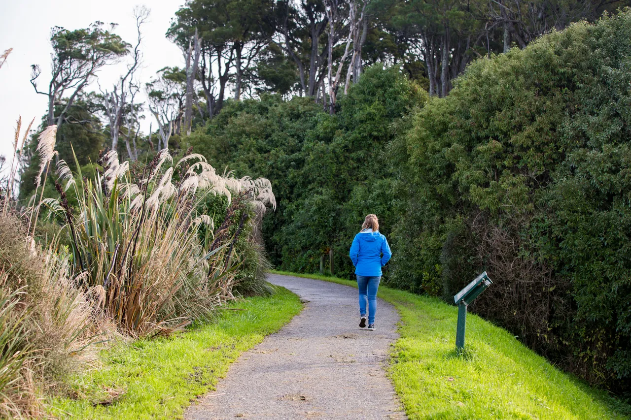 Waihopai Walkway - Southland, New Zealand - Credit Sam Deuchrass (2)