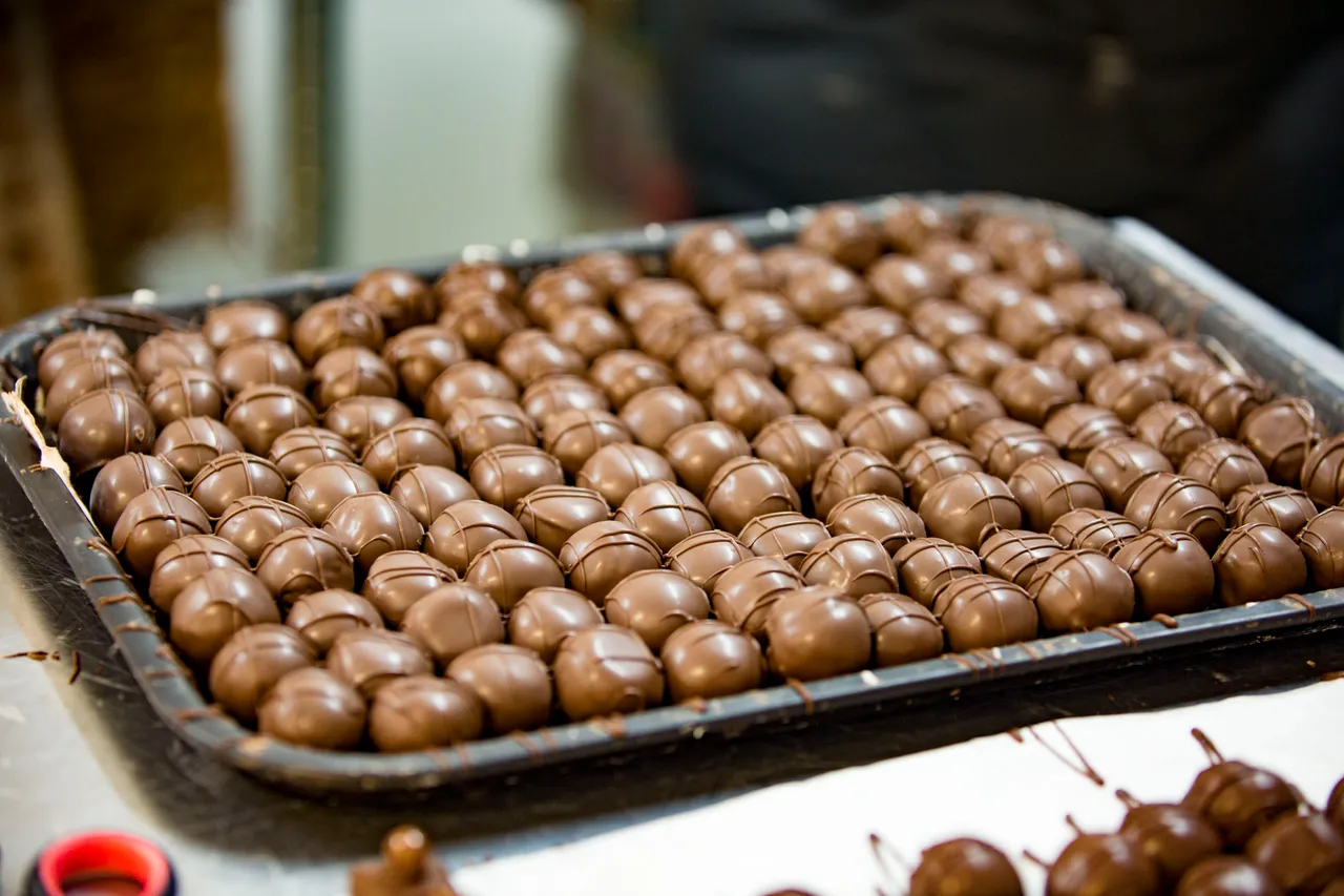 The Seriously Good Chocolate Company - Southland, New Zealand - Credit Sam Deuchrass (3)