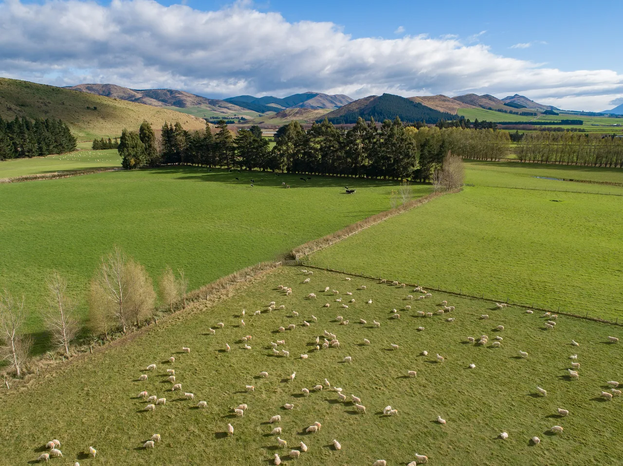 Northern Southland - Southland, New Zealand - Credit Air New Zealand (2)