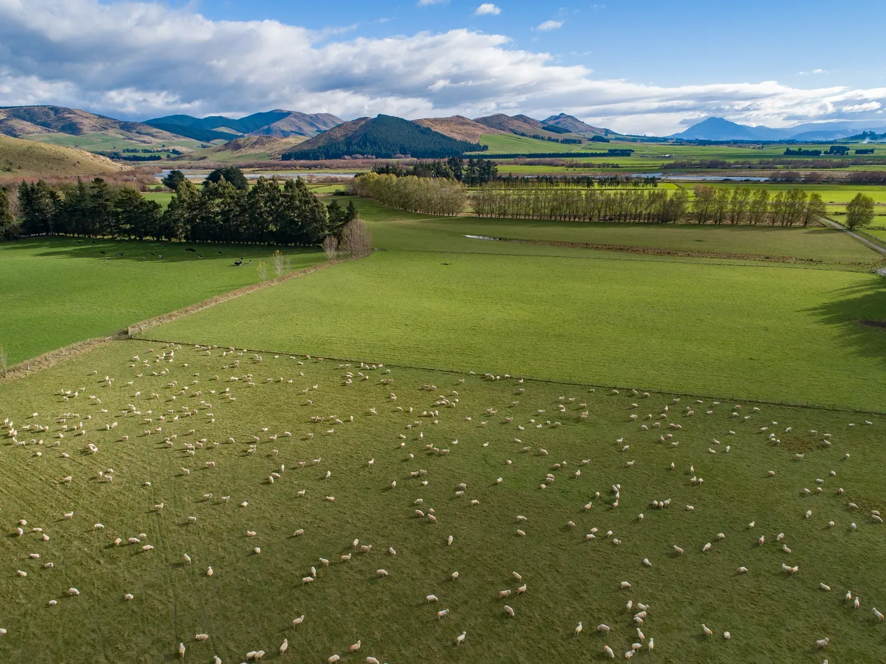 Northern Southland - Southland, New Zealand - Credit Air New Zealand (1)