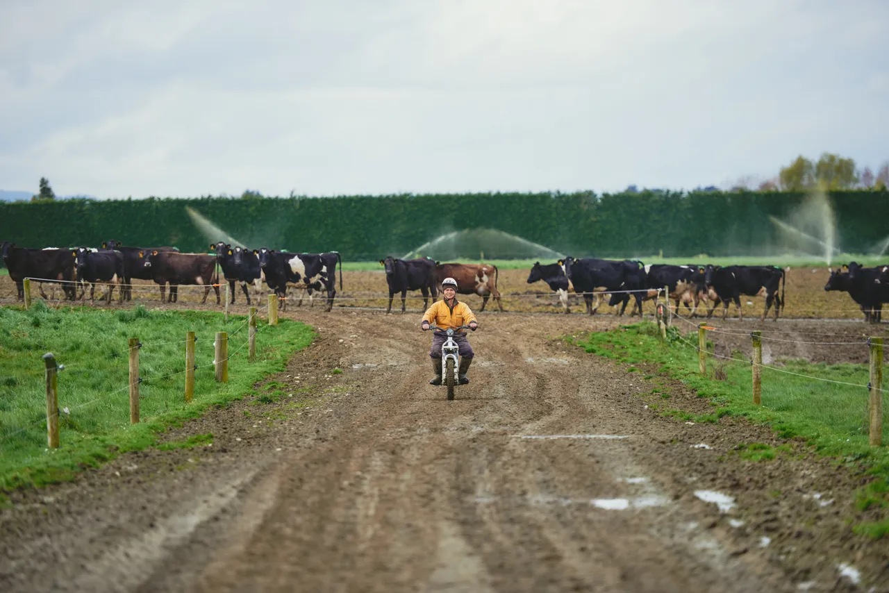 Dairy Farm - Southland, New Zealand - Credit Sebastian Katzlese (7)