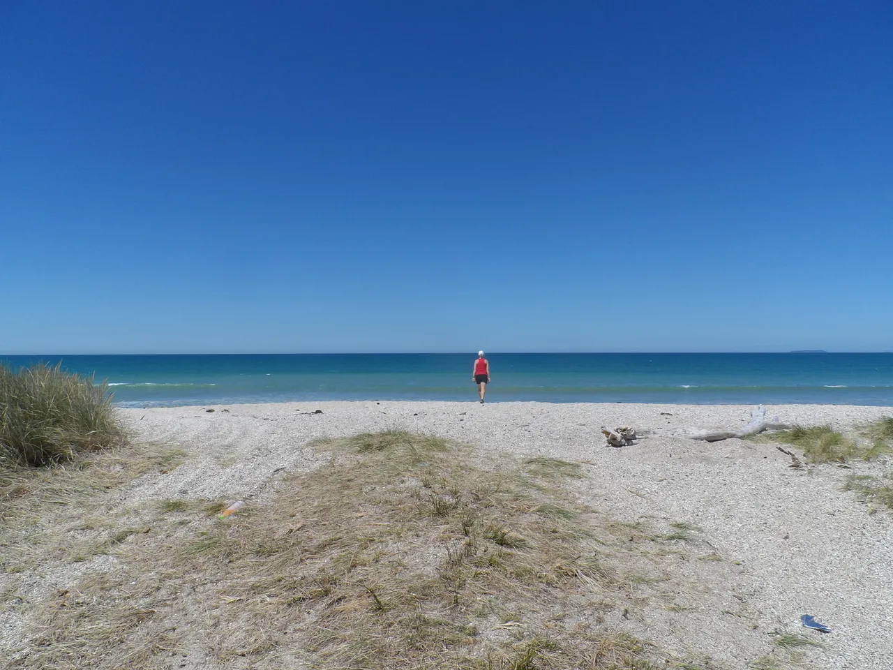 Waituna Lagoon - Southland, New Zealand - Credit Great South (8)