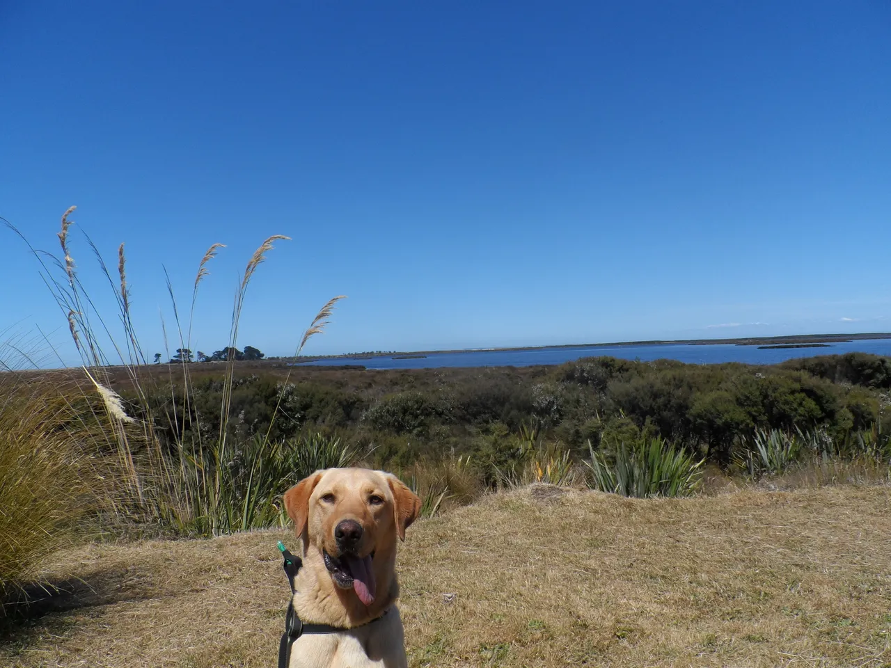Waituna Lagoon - Southland, New Zealand - Credit Great South (5)