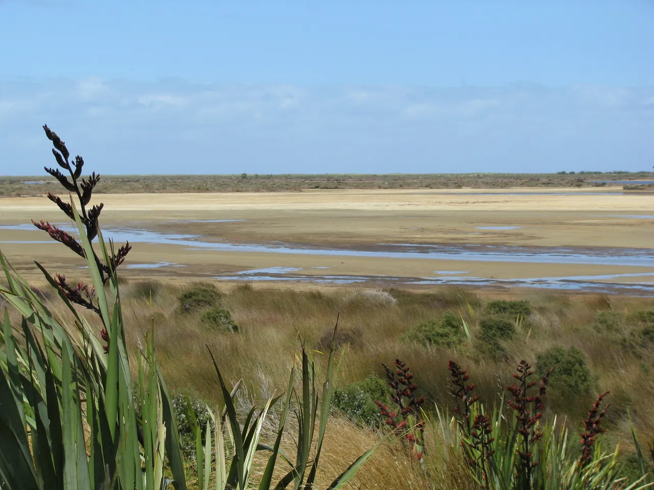 Waituna Lagoon - Southland, New Zealand - Credit Great South (3)