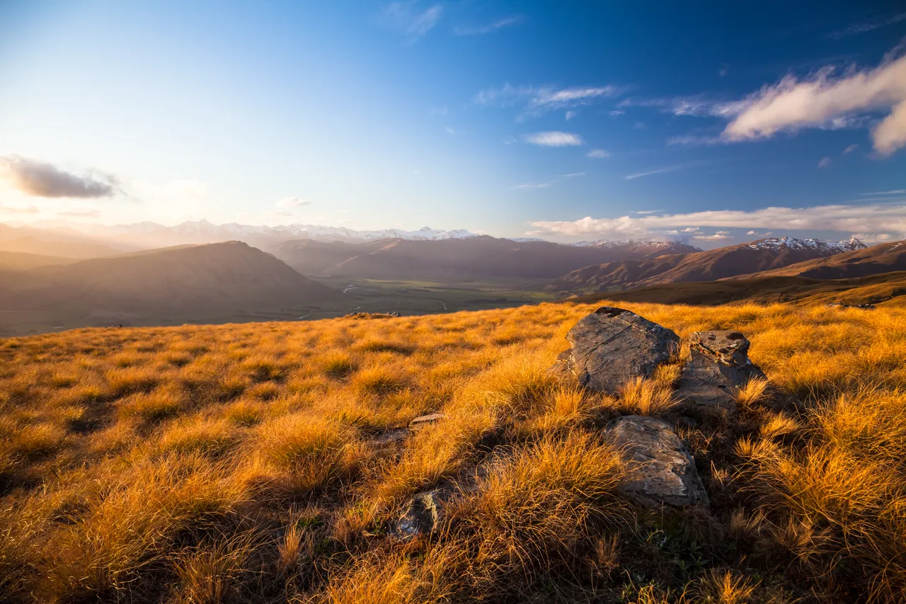 Welcome Rock Trails - Southland, New Zealand - Credit Ben Arthur, Welcome Rock (15)