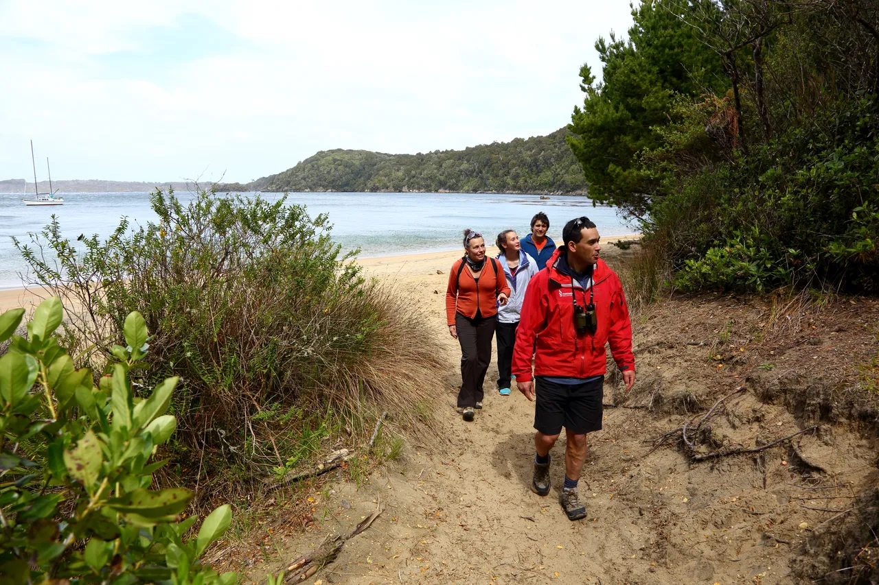 Sydney Cove - Ulva Island - Southland, New Zealand - Credit Department of Conservation (1)