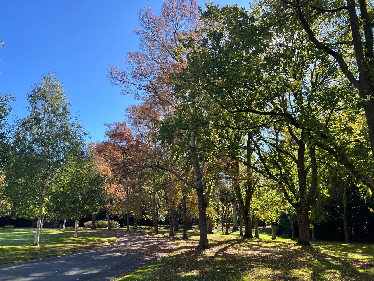 Queens Park - Southland, New Zealand - Credit Great South (14)