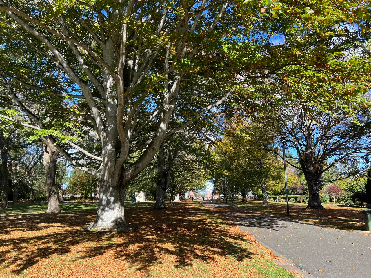 Queens Park - Southland, New Zealand - Credit Great South (4)
