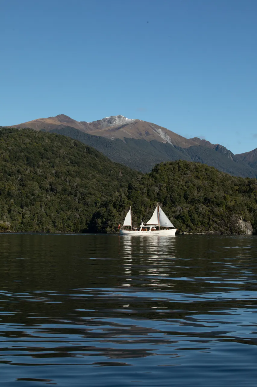 Fiordland Historic Cruises - Southland, New Zealand - Credit MG Photography (3)
