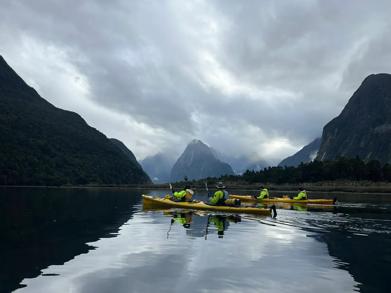 Rosco-s Milford Kayaks, Fiordland - Southland, New Zealand - Credit Great South (5)
