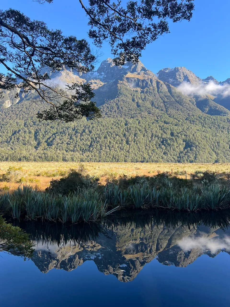 Mirror Lakes, Fiordland - Southland, New Zealand - Credit Great South