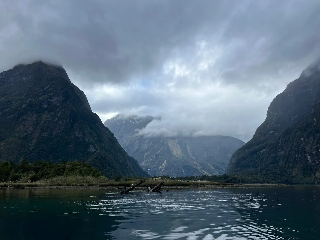 Rosco-s Milford Kayaks, Fiordland - Southland, New Zealand - Credit Great South (6)