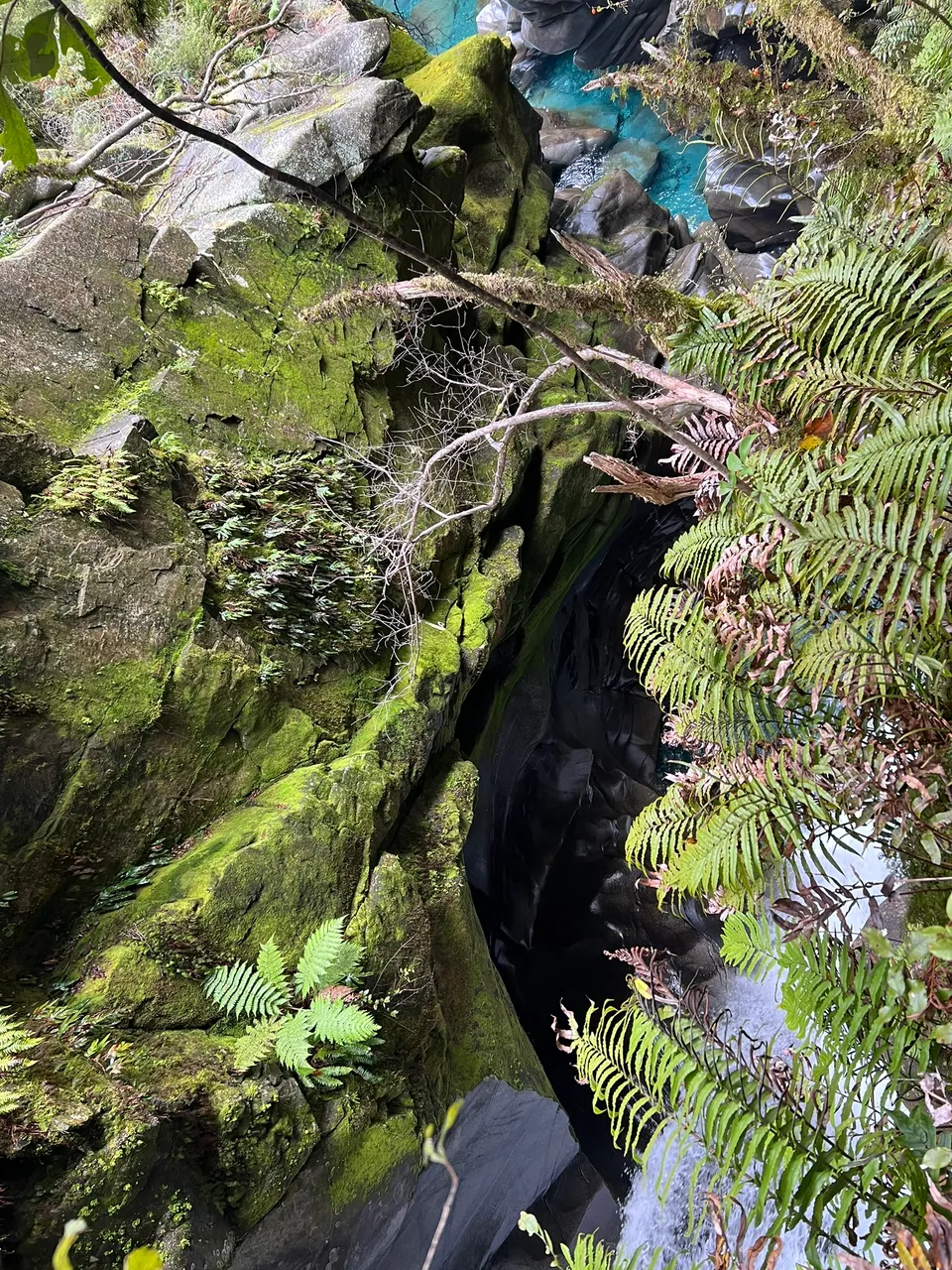 The Chasm, Fiordland - Southland, New Zealand - Credit Great South (4)