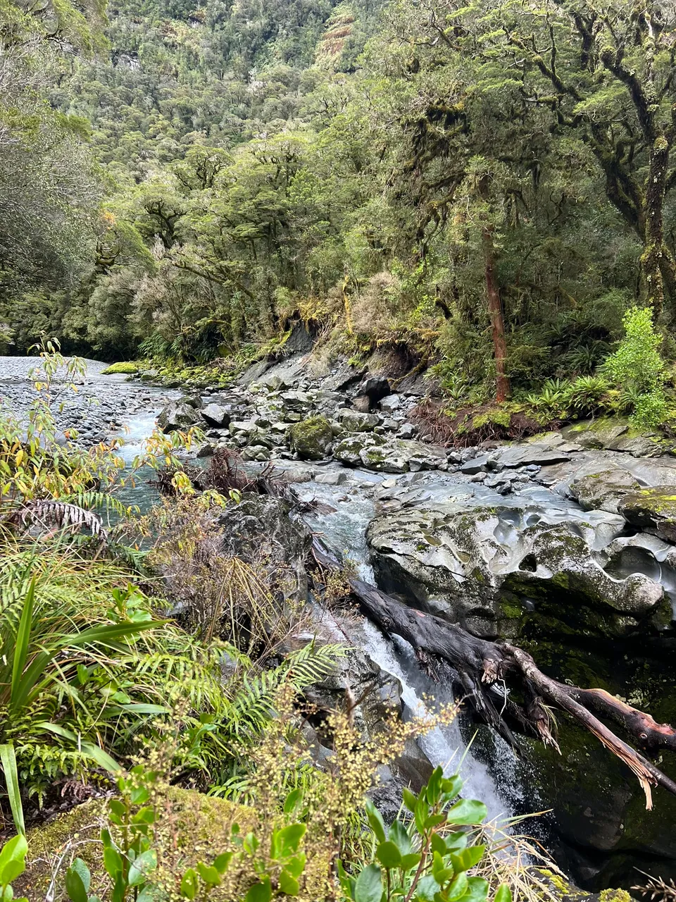The Chasm, Fiordland - Southland, New Zealand - Credit Great South (1)
