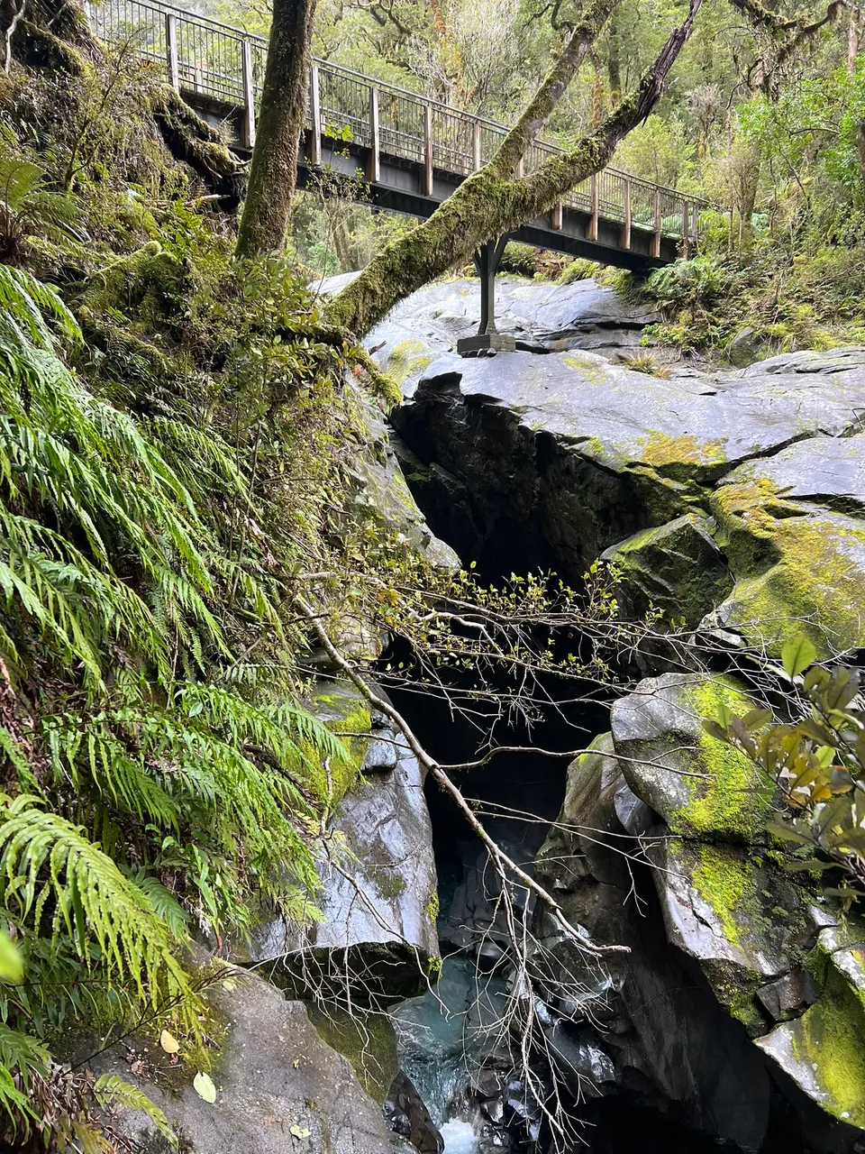 The Chasm, Fiordland - Southland, New Zealand - Credit Great South (3)