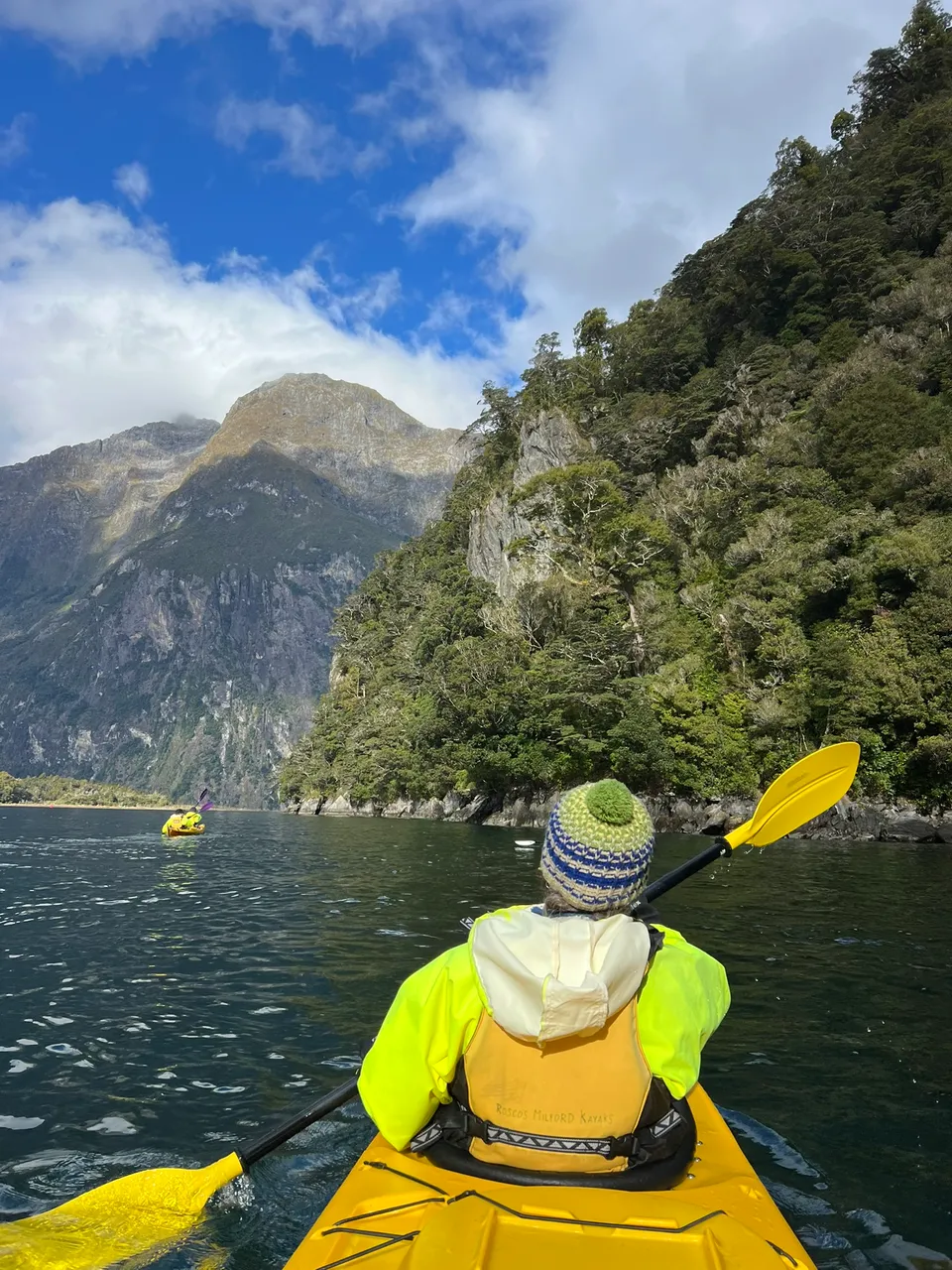 Rosco-s Milford Kayaks, Fiordland - Southland, New Zealand - Credit Great South (44)