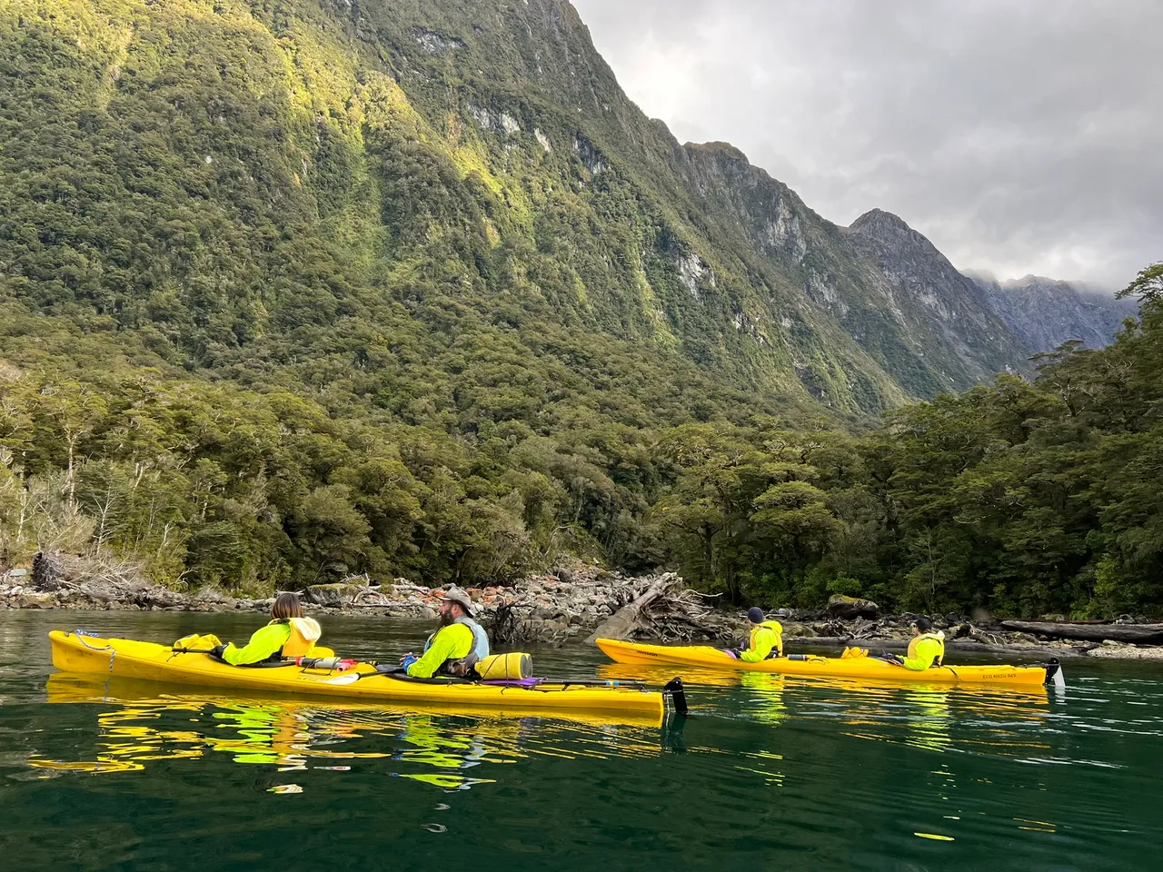 Rosco-s Milford Kayaks, Fiordland - Southland, New Zealand - Credit Great South (35)