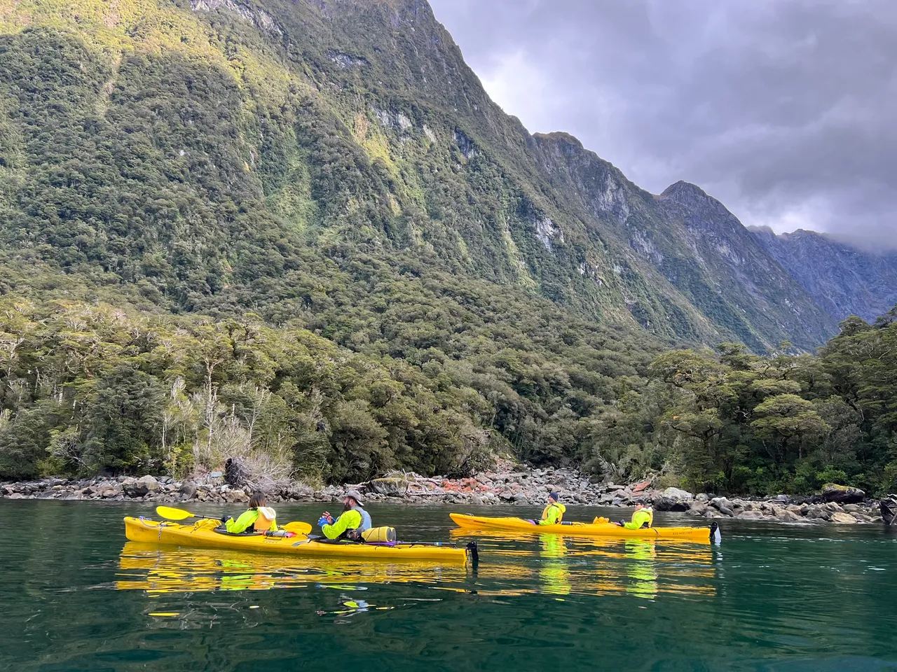 Rosco-s Milford Kayaks, Fiordland - Southland, New Zealand - Credit Great South (37)