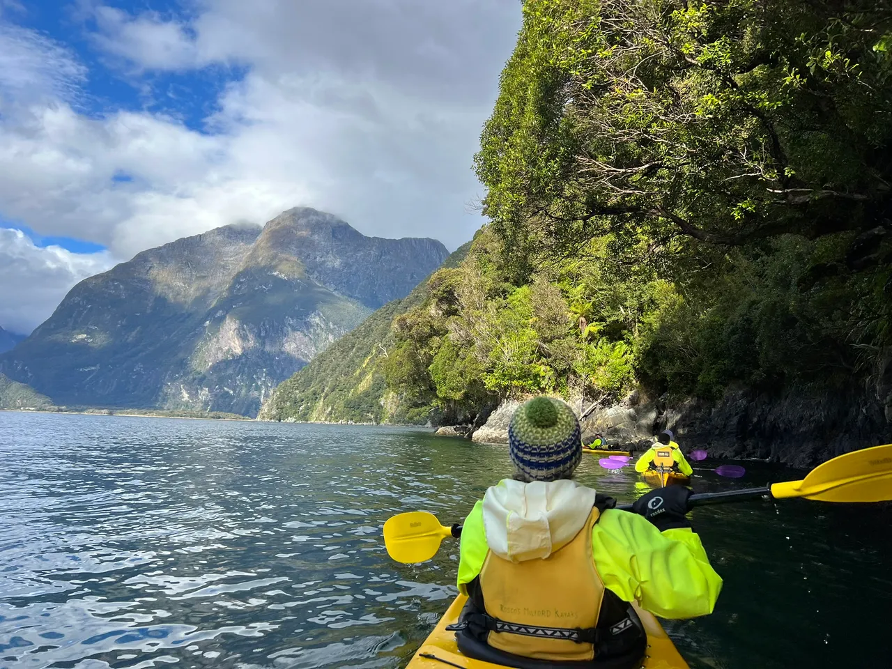 Rosco-s Milford Kayaks, Fiordland - Southland, New Zealand - Credit Great South (33)
