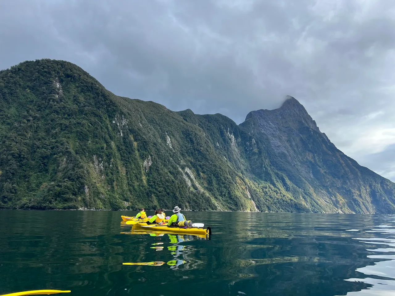 Rosco-s Milford Kayaks, Fiordland - Southland, New Zealand - Credit Great South (29)