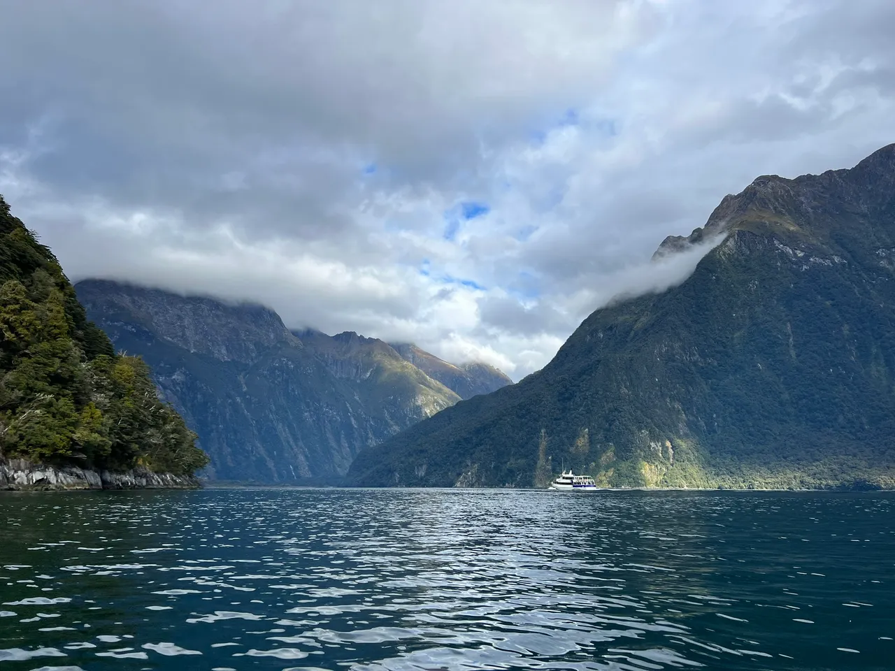 Rosco-s Milford Kayaks, Fiordland - Southland, New Zealand - Credit Great South (23)