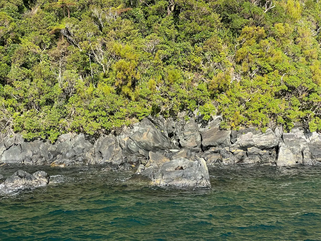 Milford Sound, Fiordland - Southland, New Zealand - Credit Great South (8)