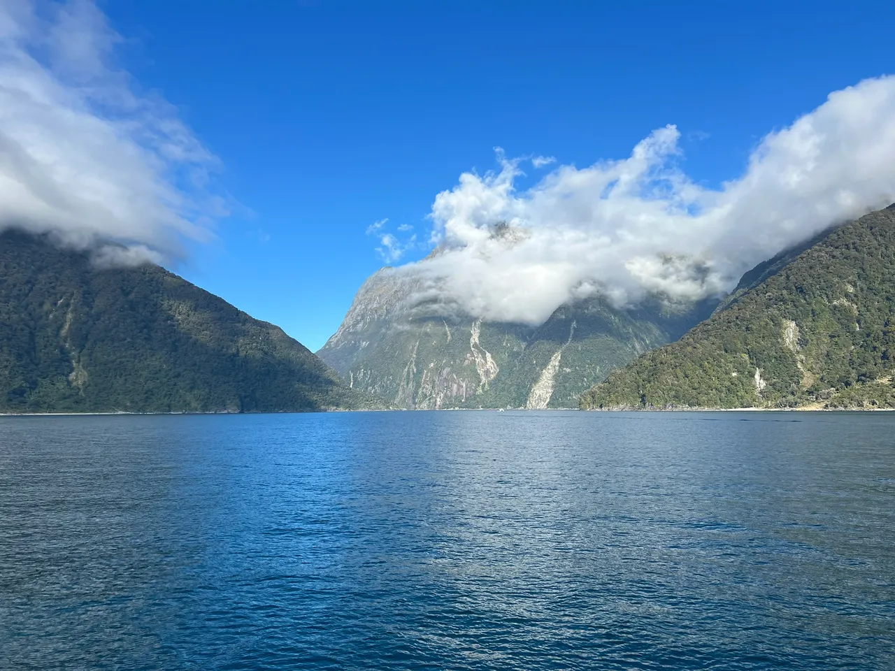 Milford Sound, Fiordland - Southland, New Zealand - Credit Great South (10)