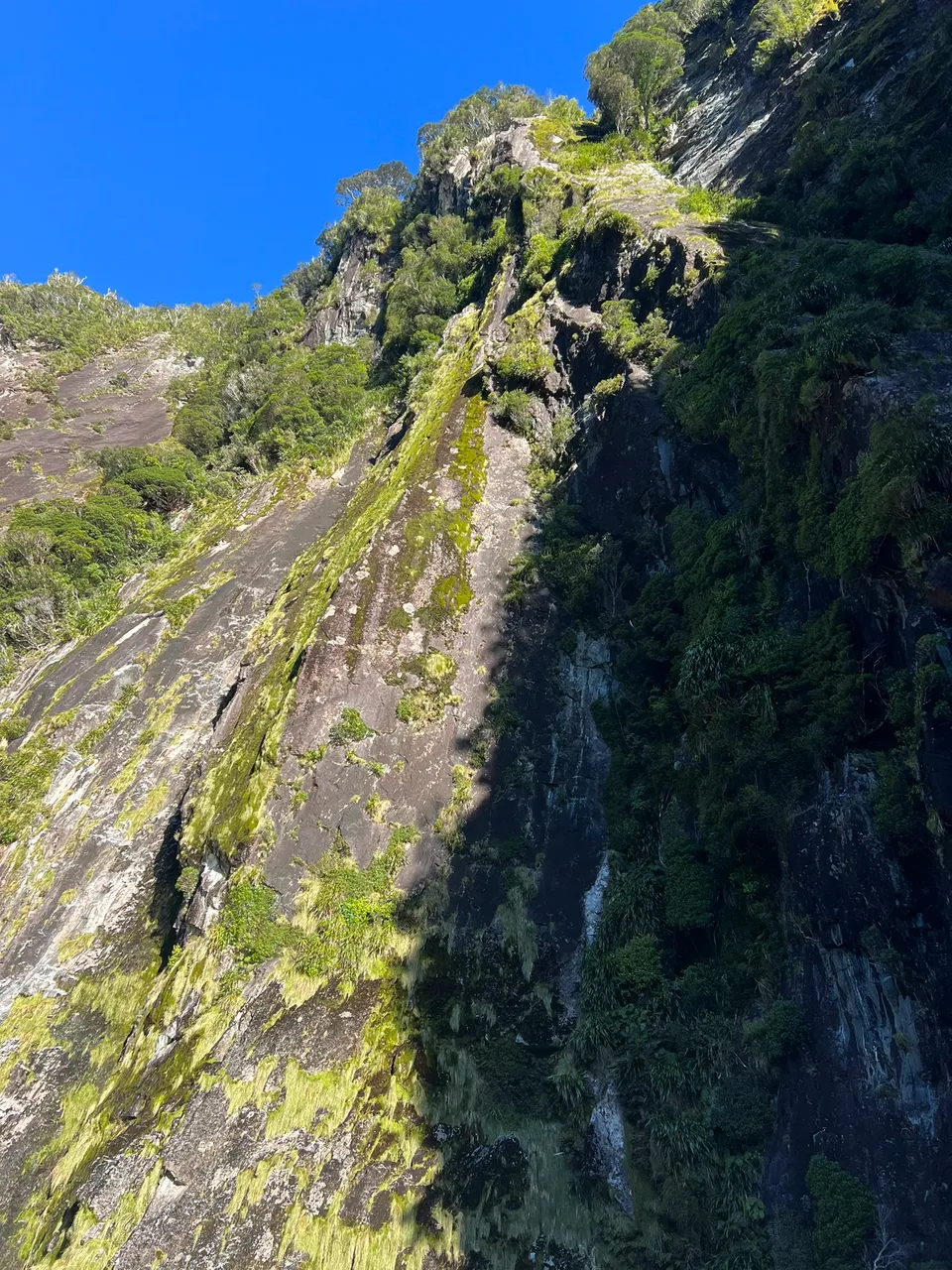 Milford Sound, Fiordland - Southland, New Zealand - Credit Great South (5)