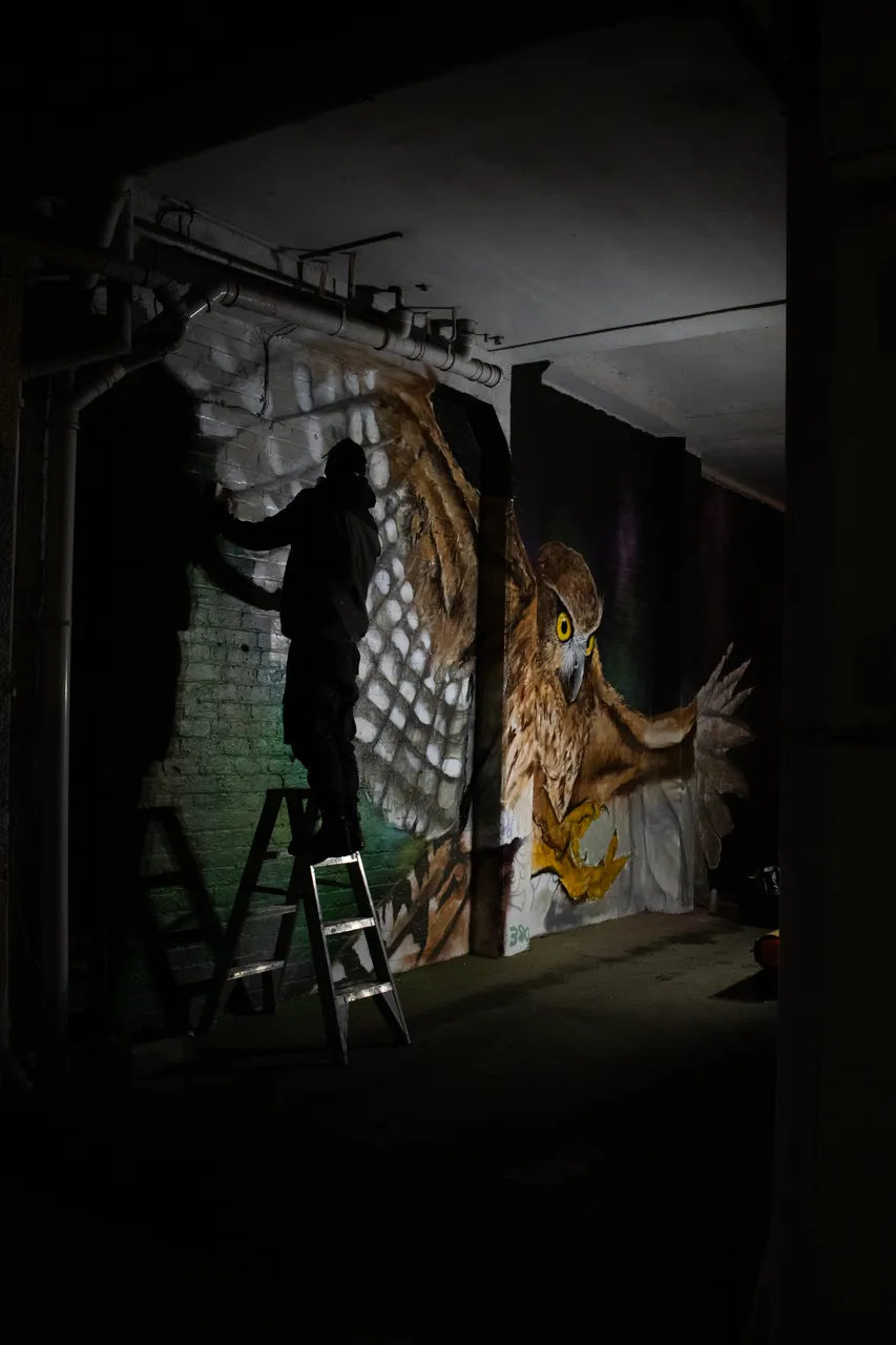 Night of the Arts - Southland, New Zealand - Credit Great South (7)