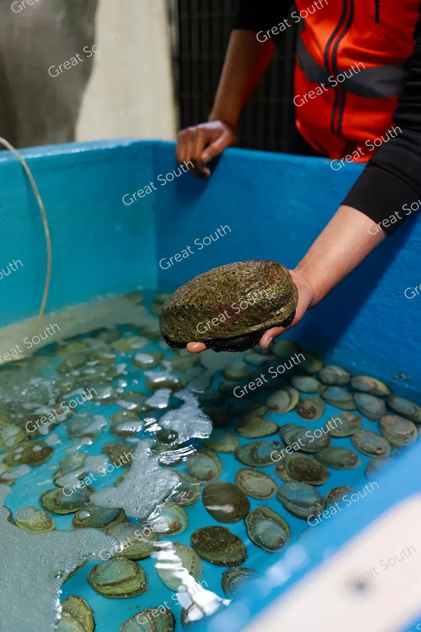 Bluff Distillery - Southland, New Zealand - Credit Dave Nash Photography (2)