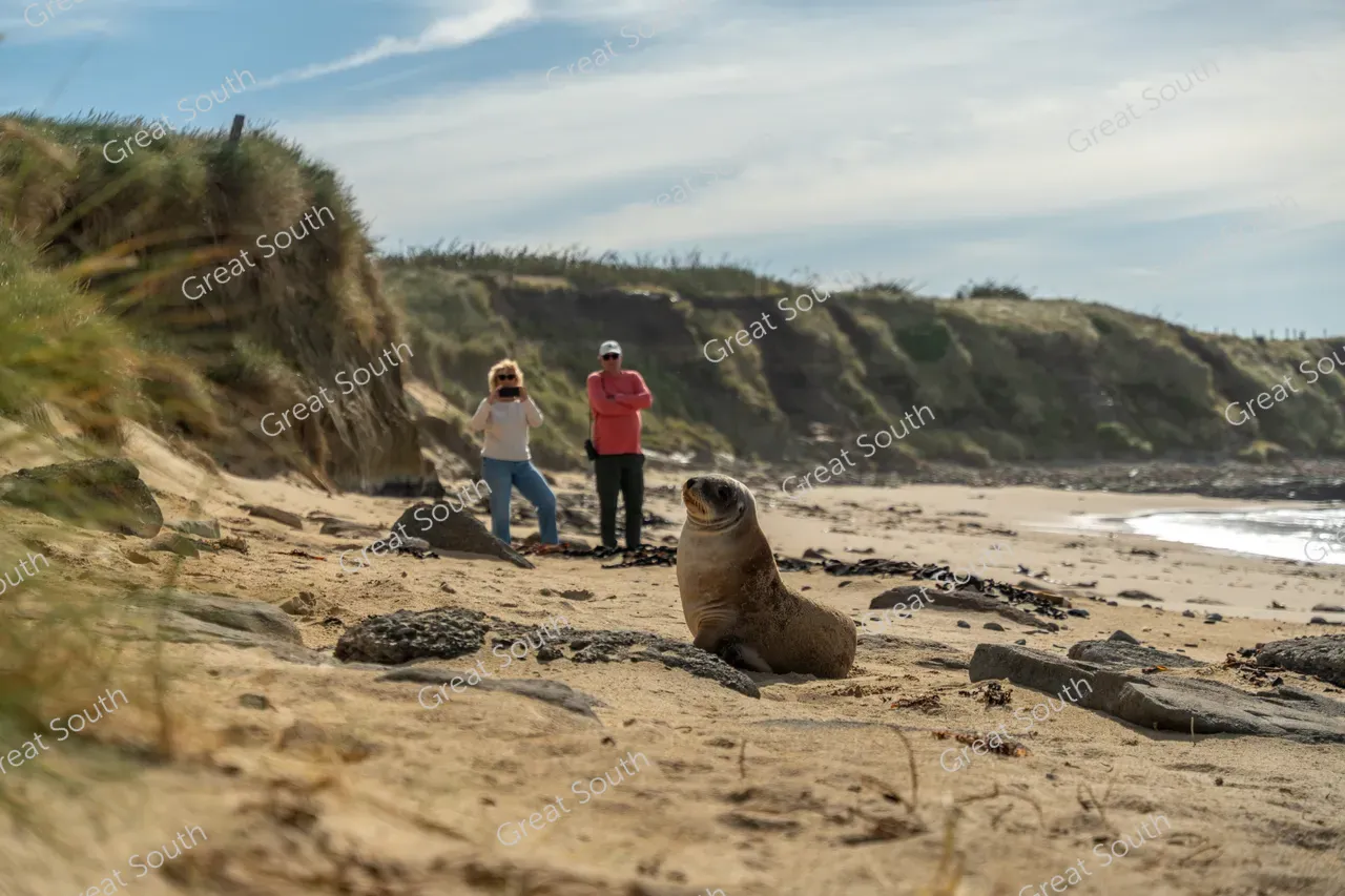 Waipapa Point - Southland, New Zealand - Credit Great South (3)
